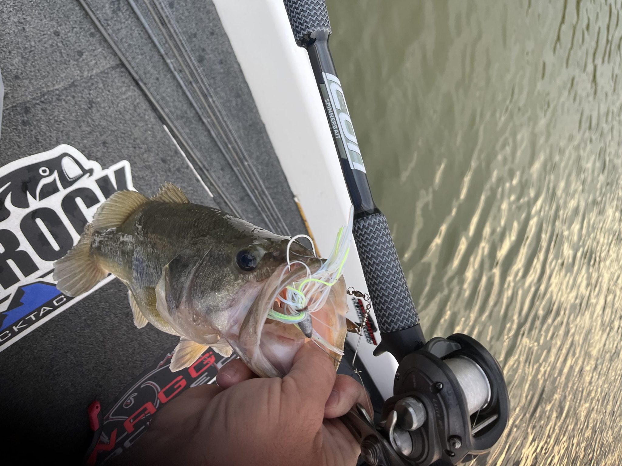 Top-Rated Bass Fishing Rods? 4 Must-Haves Around the Spawn