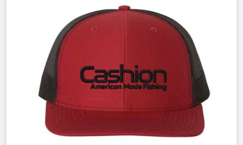 Embroidered Snap Back Hat - Image 2